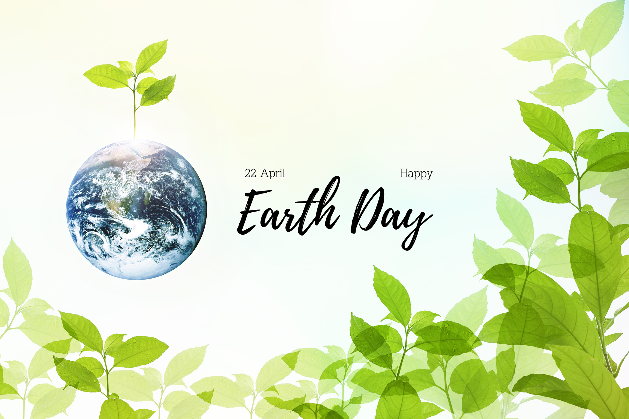 Abstract Illustration to celebrate 22 April Earth Day with symbol of beautiful mother earth with growth fresh strong tree nature in summer of environment green background.